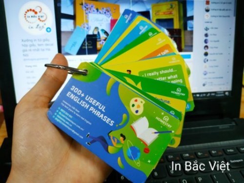 In Flashcard - In Ấn Bắc Việt - Công Ty CP Thiết Kế In Ấn Bắc Việt